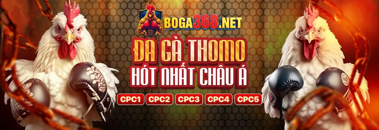 Giao diện cá cược thể thao 888vi14