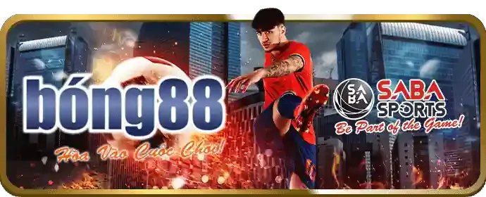Hướng dẫn 888vi14